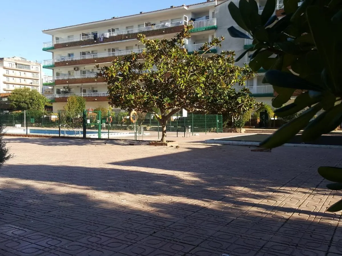 Apartment Bravaholidays-260-Lotus-2 Blanes Spain